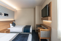Superior Twin Room (type 2)