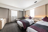 Deluxe Twin Room Image