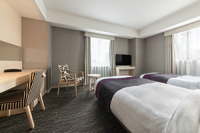 Superior Twin Room Image