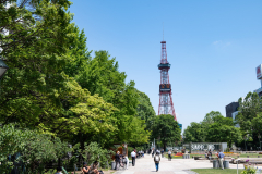 札幌大通公园电视塔