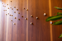 Wall art in the form of constellations in the lobby