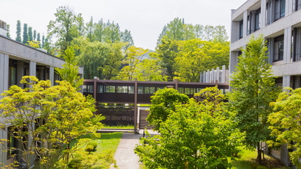 東北大学（川内キャンパス）の敷地内写真