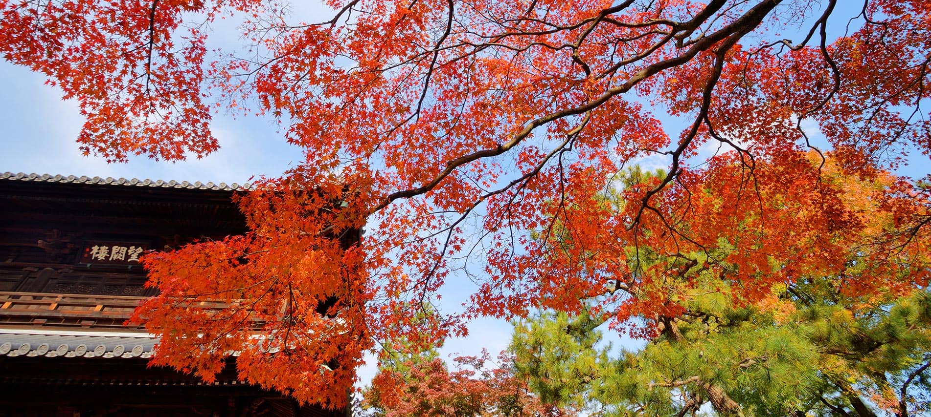 Autumn colours at Kenninji Temple