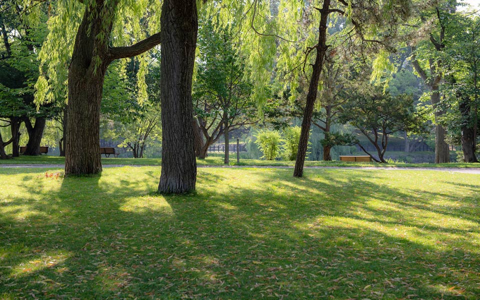中岛公园的风景